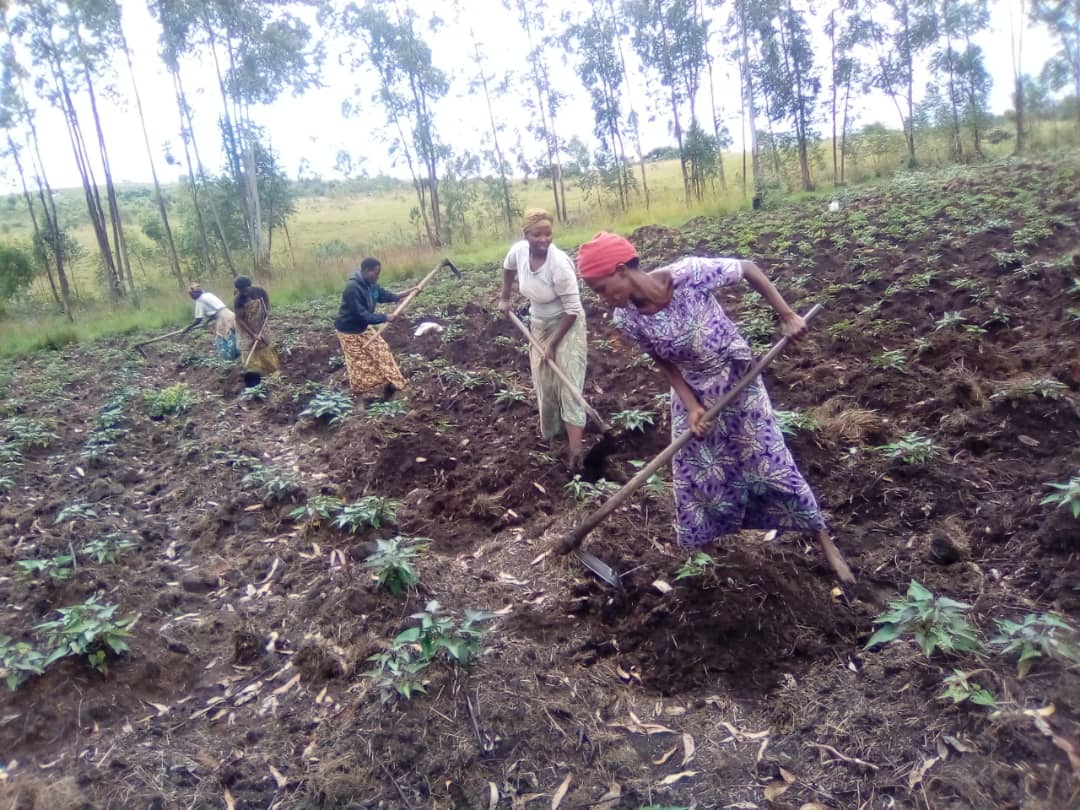 Community Field Activity Strengthens Bonds in Marginalised Communities